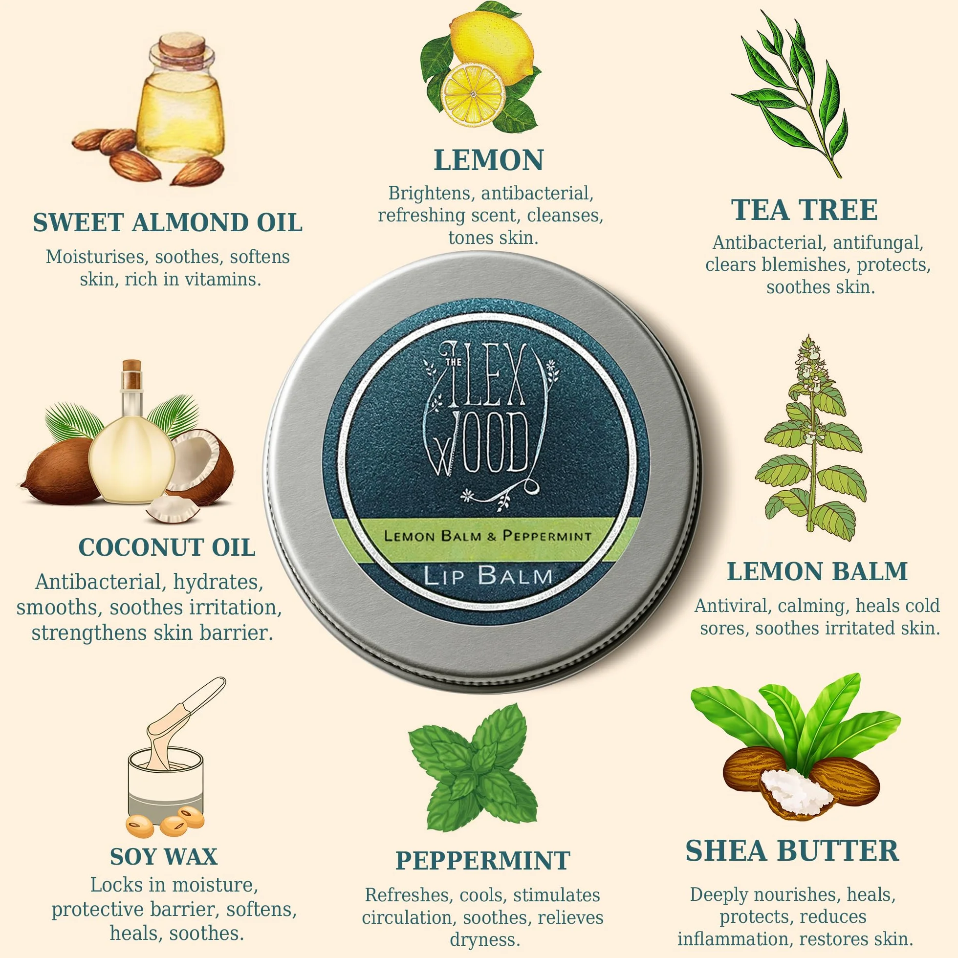 Baume à lèvres végétalien à la mélisse et à la menthe poivrée - hydratant, prévention des boutons de fièvre, 10 ml