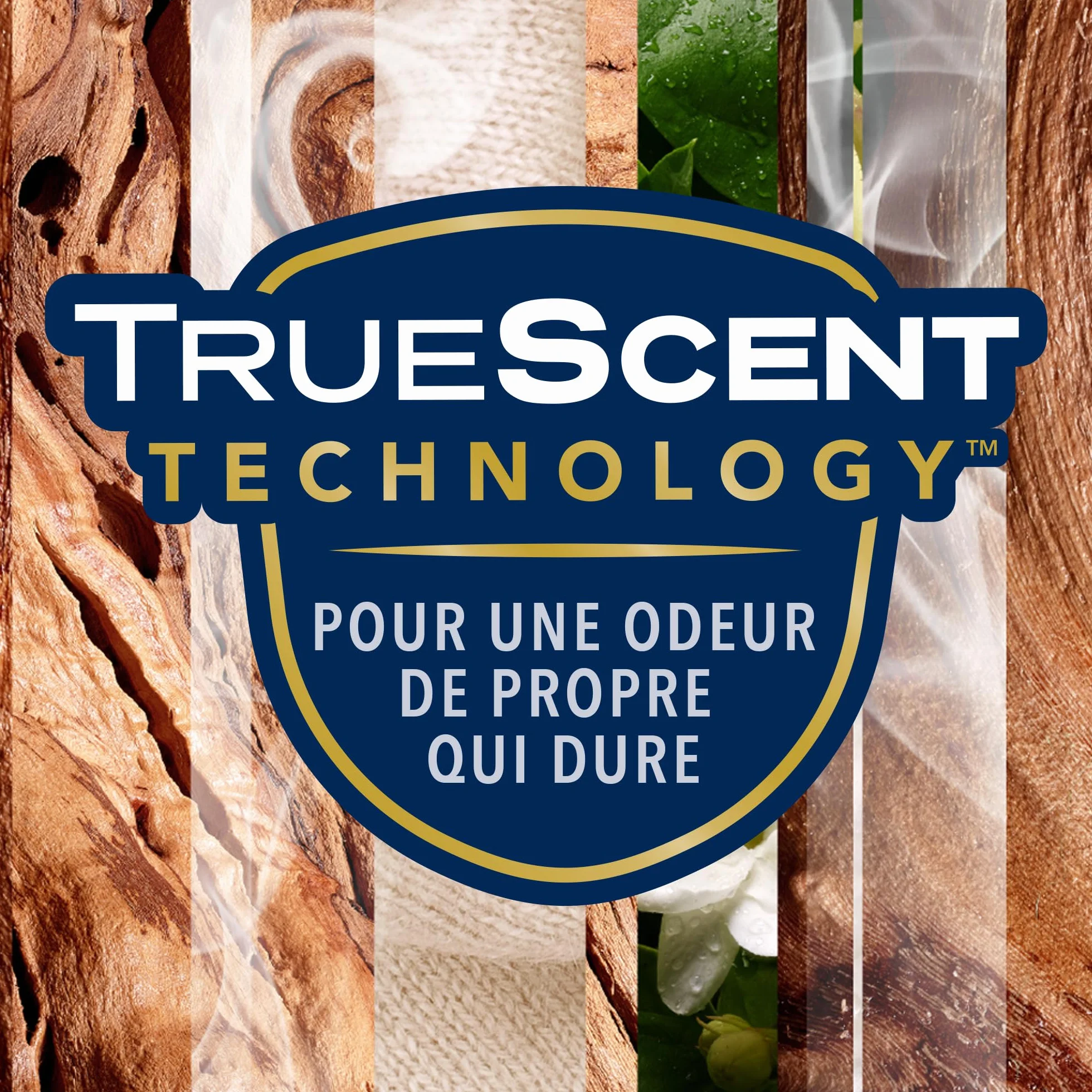 Glade Sense et Spray Diffuseur à Détection de Mouvement - Sensual Sandalwood & Jasmine - 1 Diffuseur et 3 Recharges 18ml