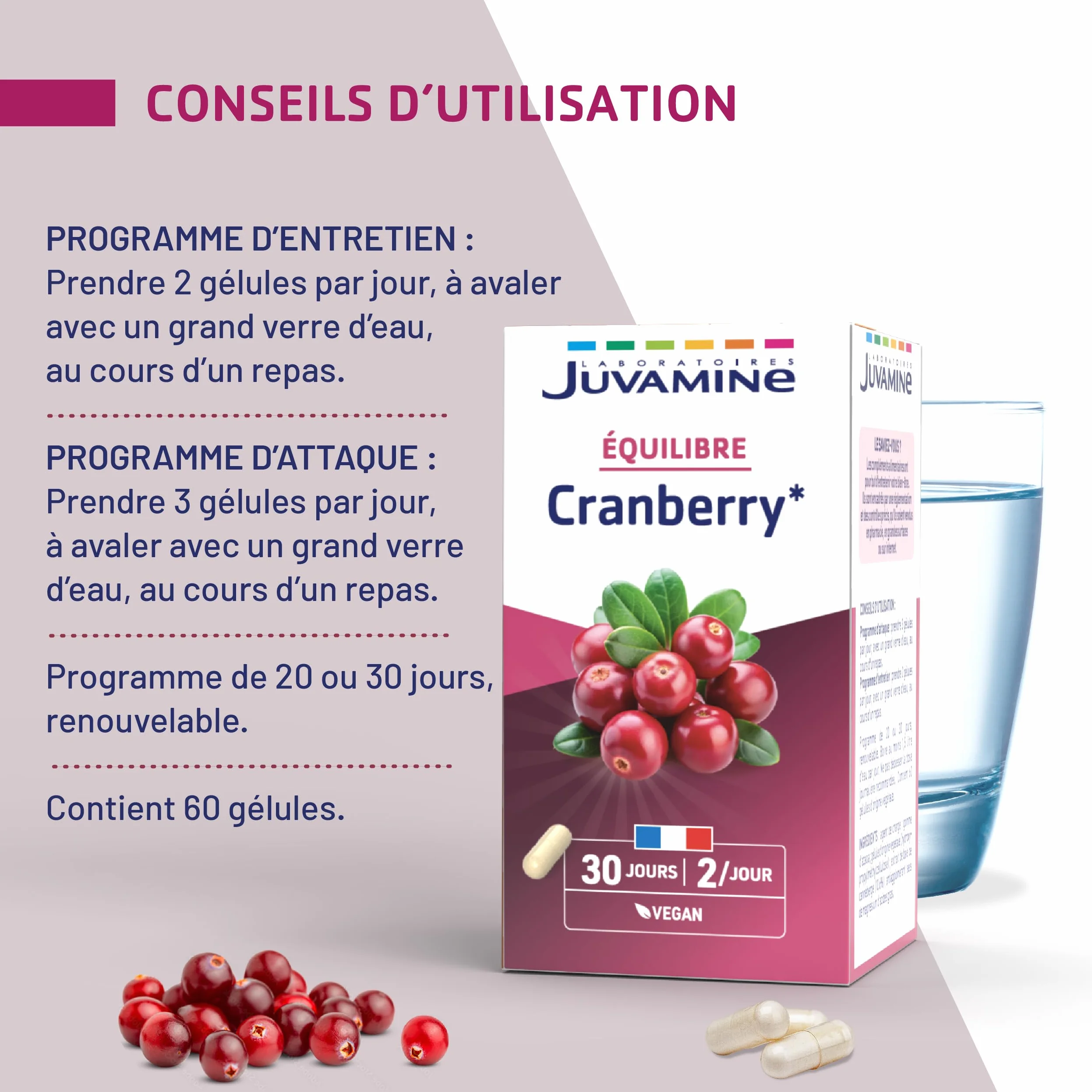JUVAMINE Cranberry Bien être Urinaire 60 Gélules Fabriqué en France