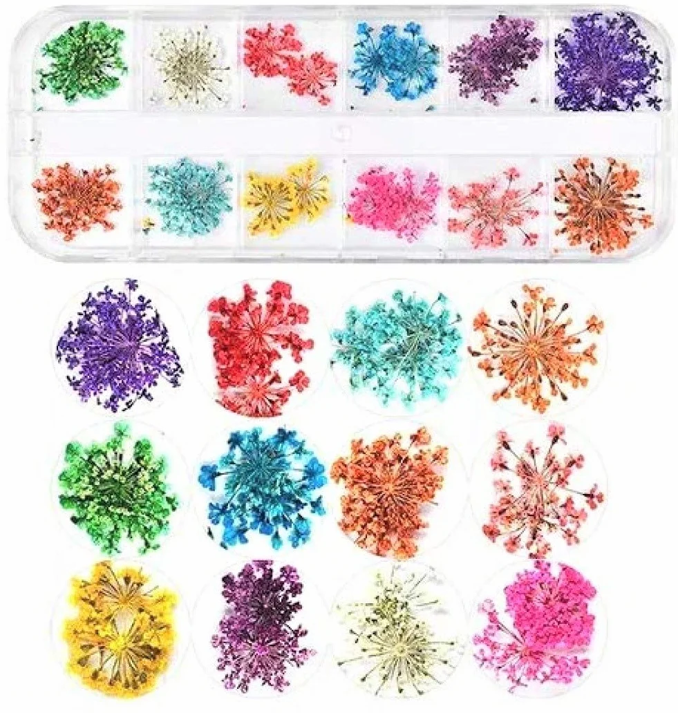 KAHEIGN 96 Pièces Fleur Séchée pour Ongles, 3D Nail Art Véritable Fleur Séchée Manucure Décoration