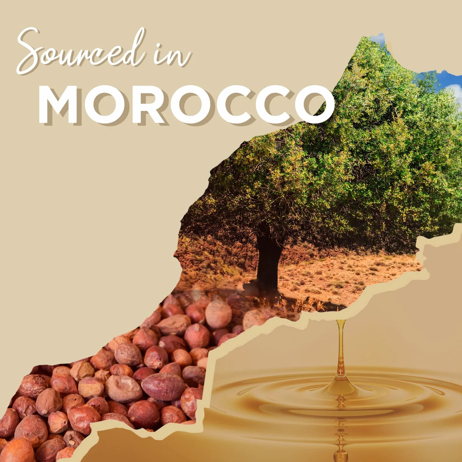 Huile d'Argan Marocaine Pure & Naturelle 100ml - Riche en Vitamine E pour Peau, Cheveux & Ongles Sains