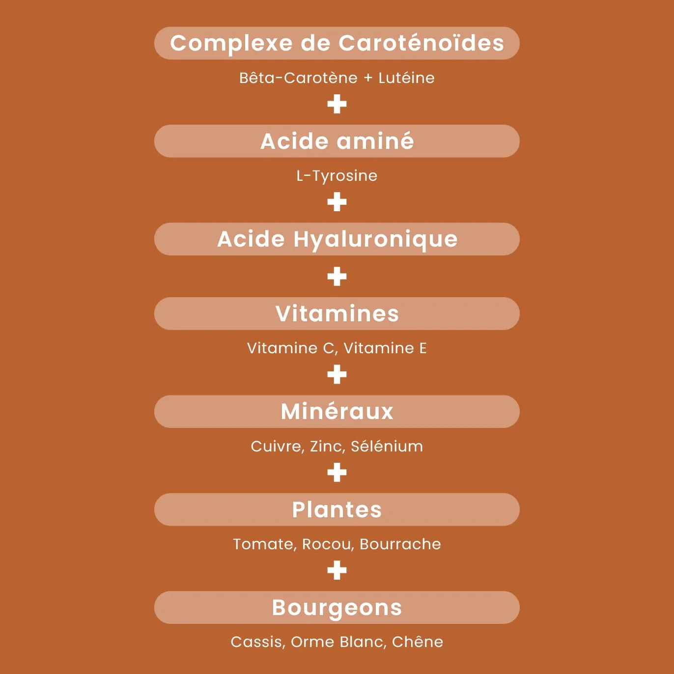 Santarome Bio Sublime Soleil 2 en 1 Autobronzant Préparateur Solaire Complément Alimentaire Solaire Caroténoïdes Plantes 30 gélules