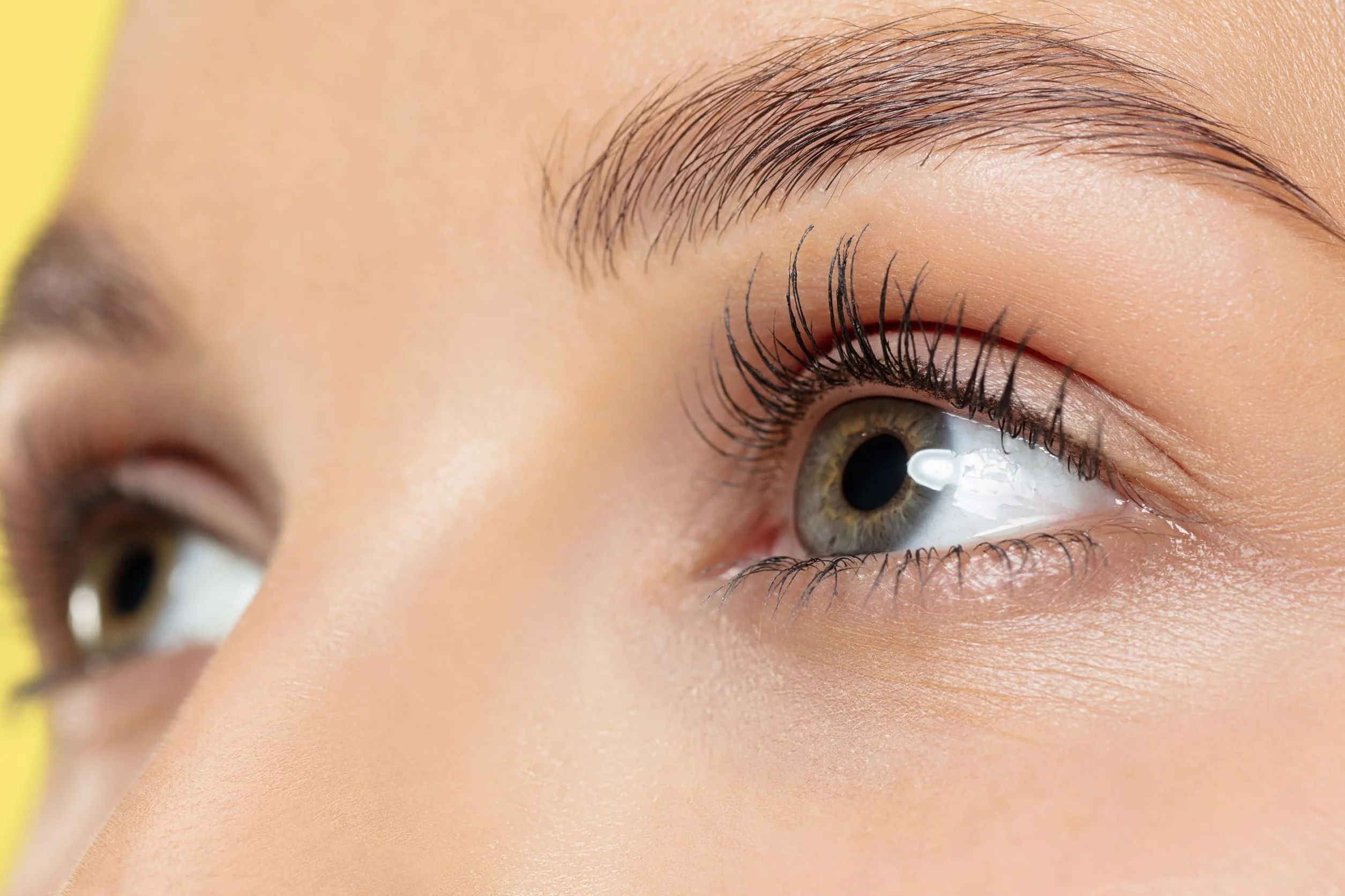 Thuya Neutralizante Vegan (15 ML) pour la Stratification des Cils et des Sourcils (1 pièce)