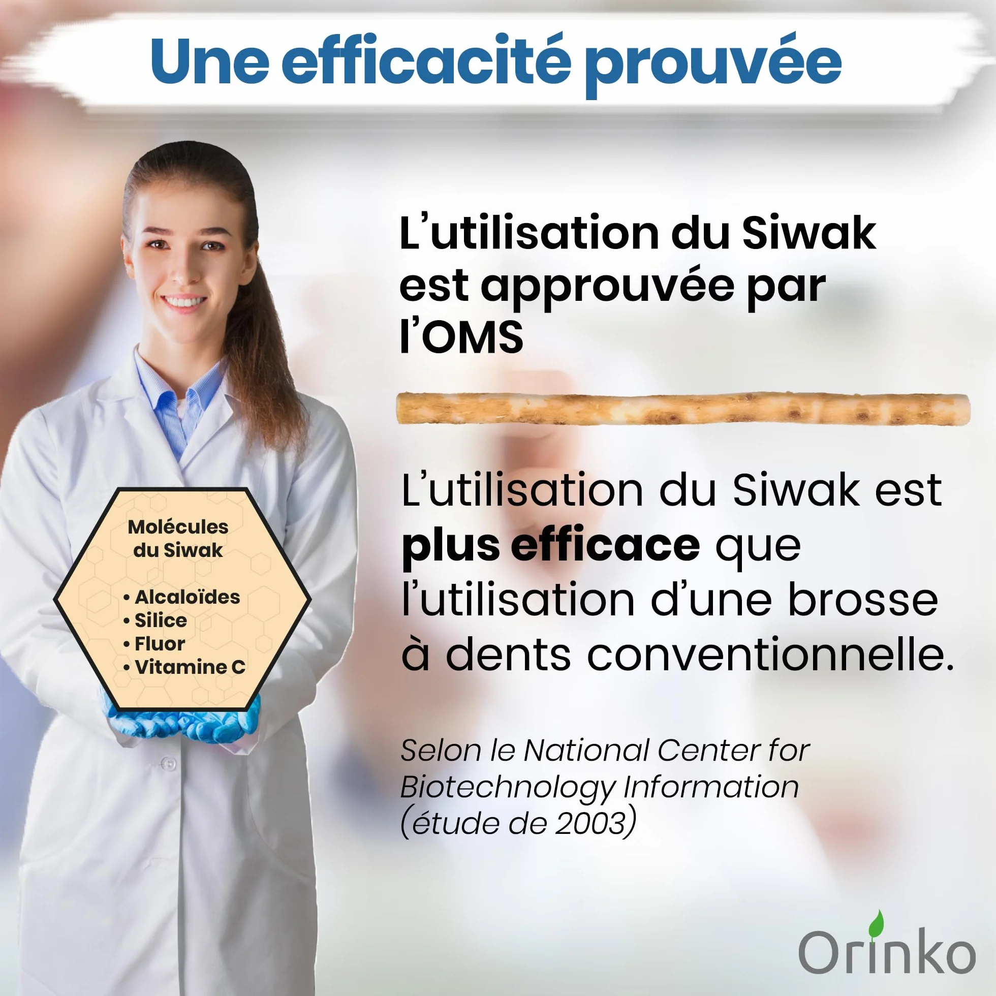 ORINKO Lot de 5 Bâtons de Siwak + Étui de protection – Brosse à Dents 100% Naturelle
