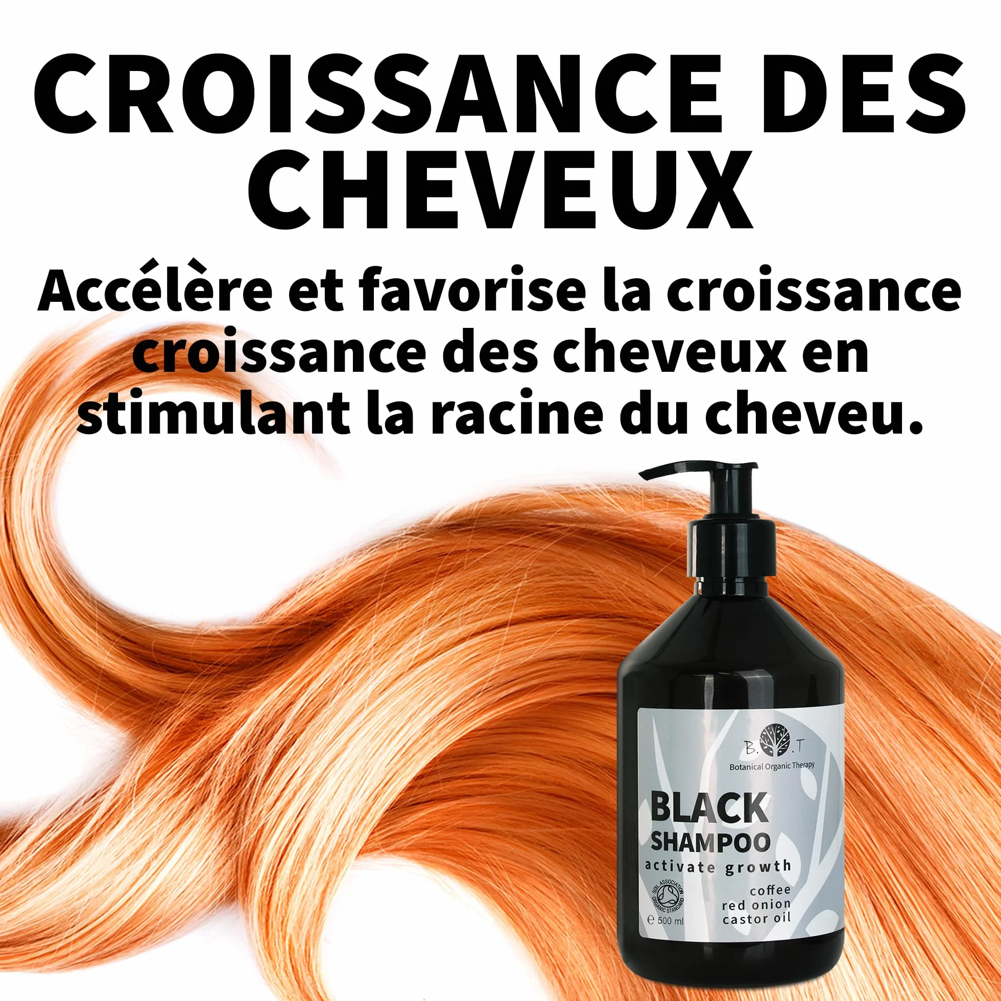 Shampooing Oignon, Caféine et Huile de Ricin pour Cheveux Antipelliculaire Volume Capillaire et Barbe Anti Chute Hydratant Croissance des Cheveux SANS SULFATE 3 x 200 ml