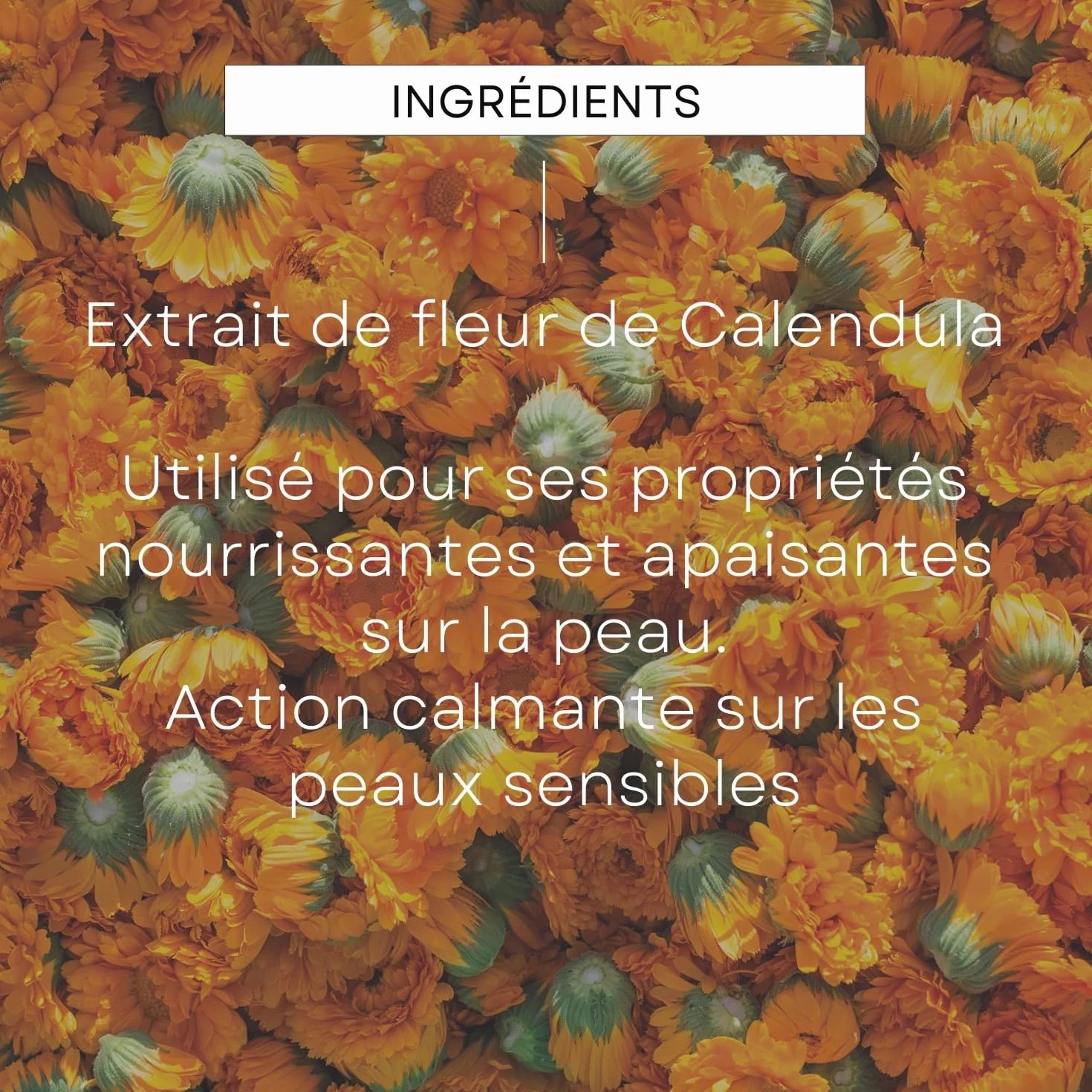 Weleda Baume Intense Universel Calendula 25 g Hydrate Nourrit Peau Bébés