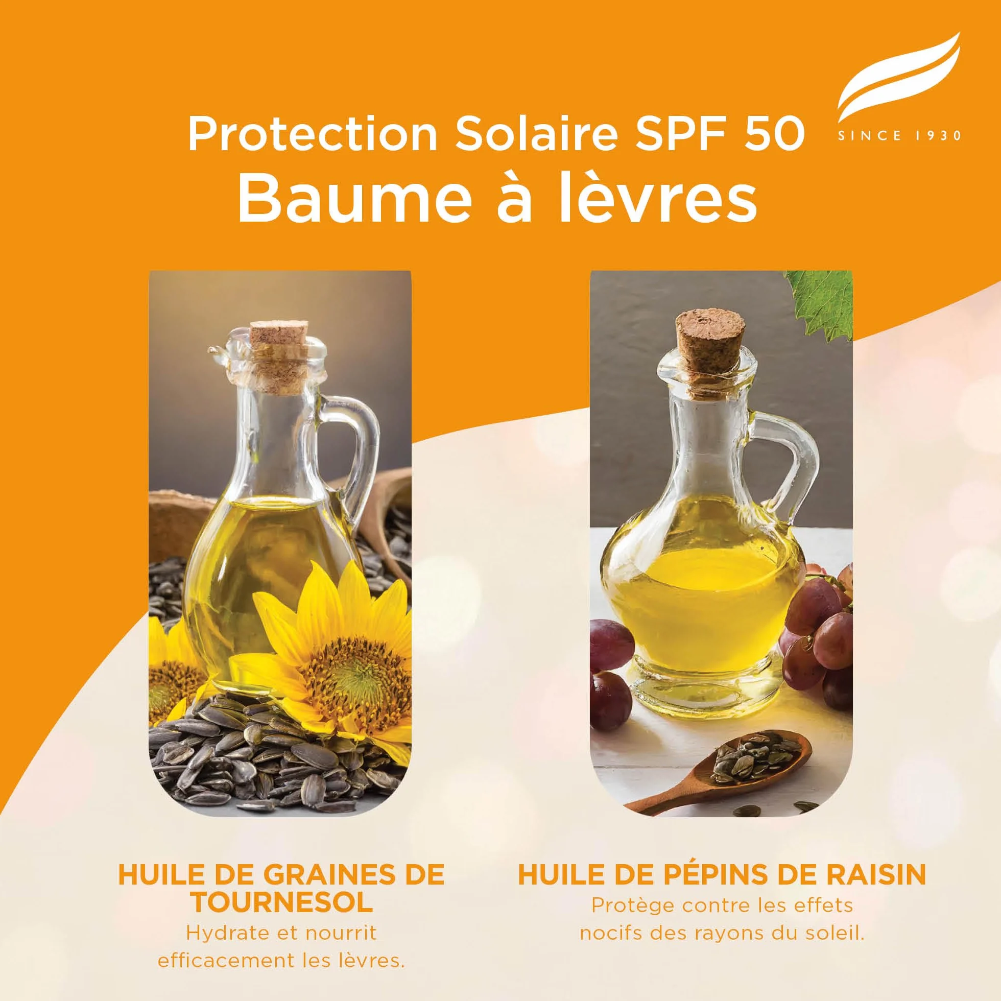 Himalaya Sun Protect Baume à lèvres SPF 50 UVA 4,5g