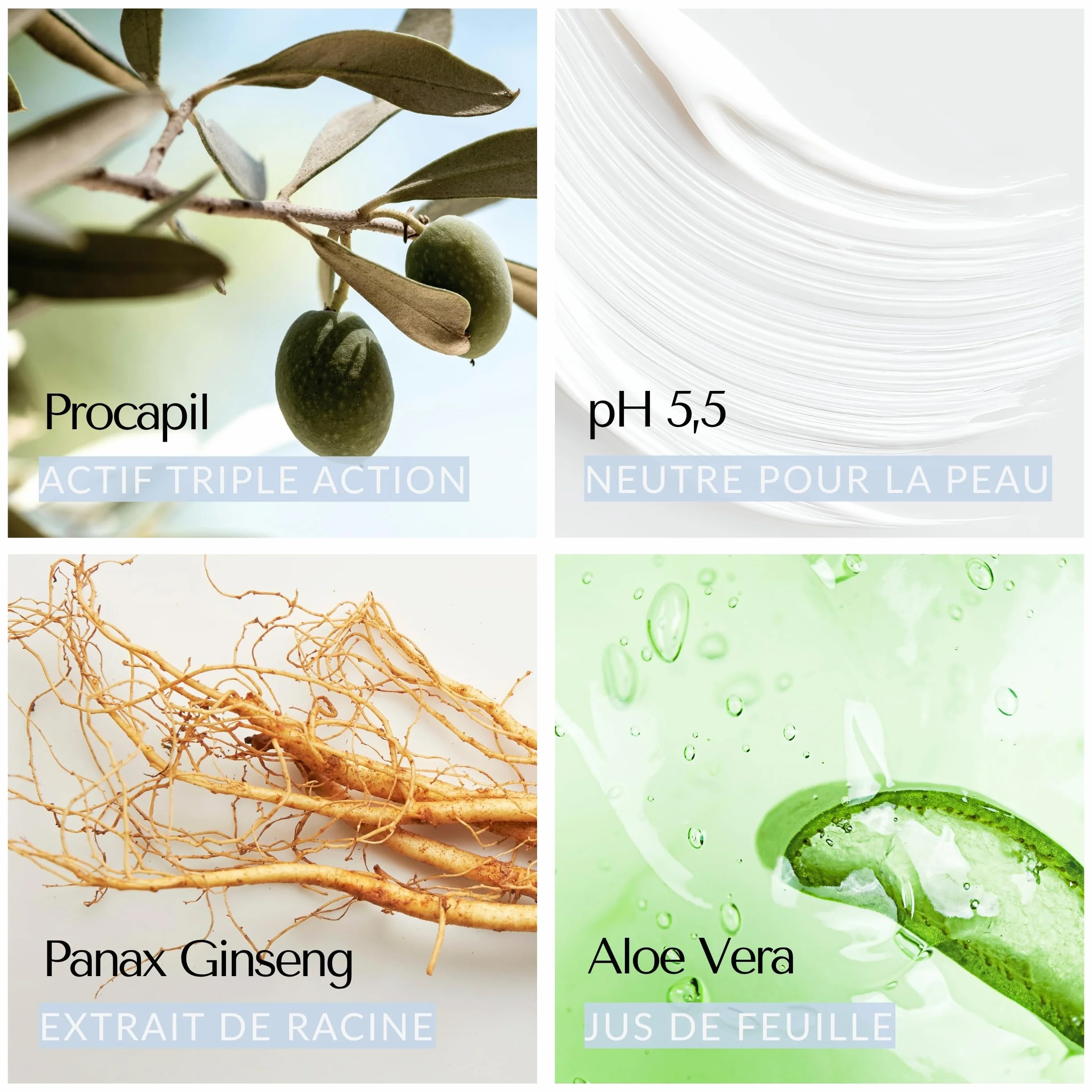 Evocapil Shampooing 300ml kératine biotine protéines acides aminés post-greffes