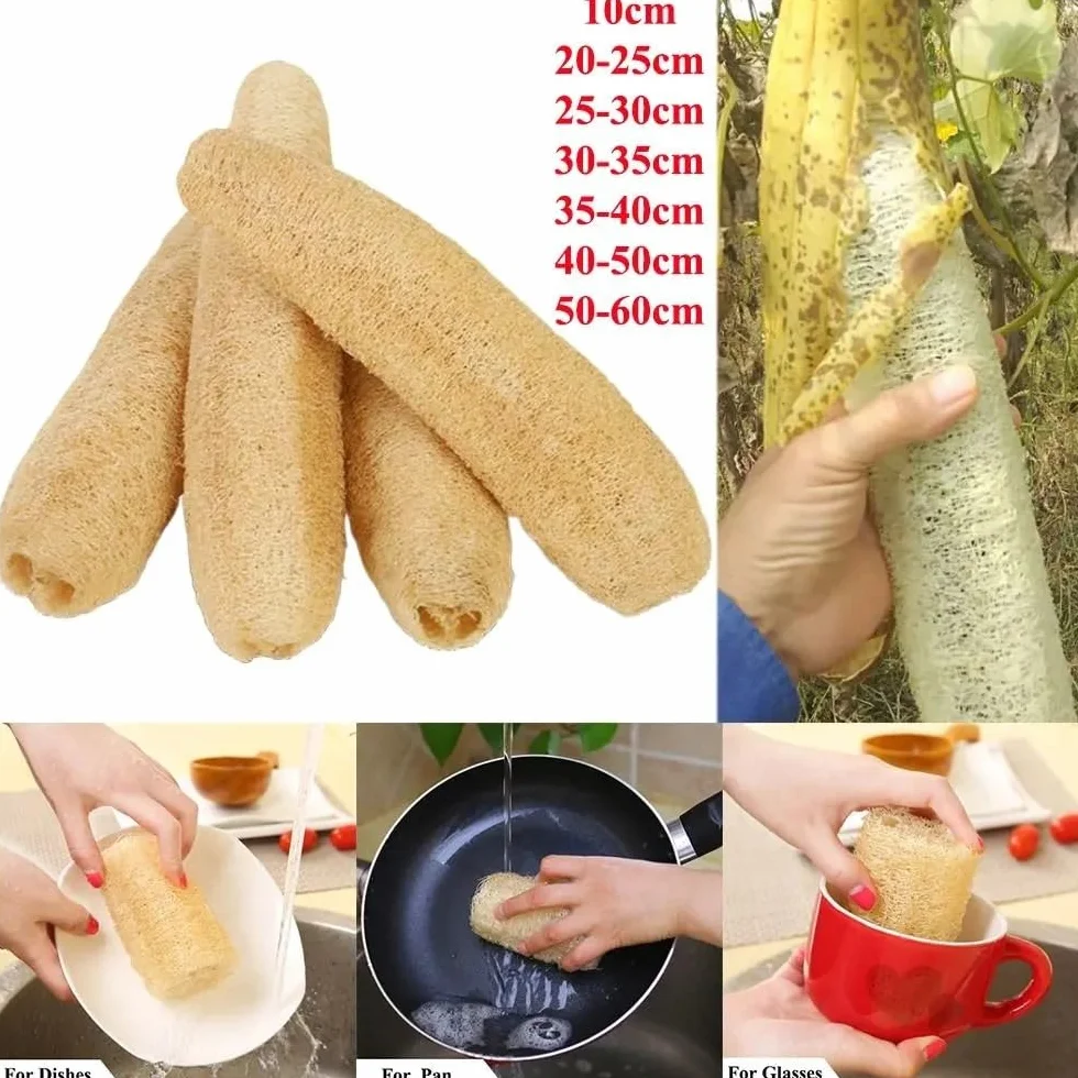 Éponge de luffa Naturelle, Longue Plantation, Douche corporelle, antiadhésive, Bonne Absorption, Serviette Vaisselle, Fourniture Cuisine et Bain(50-60cm)