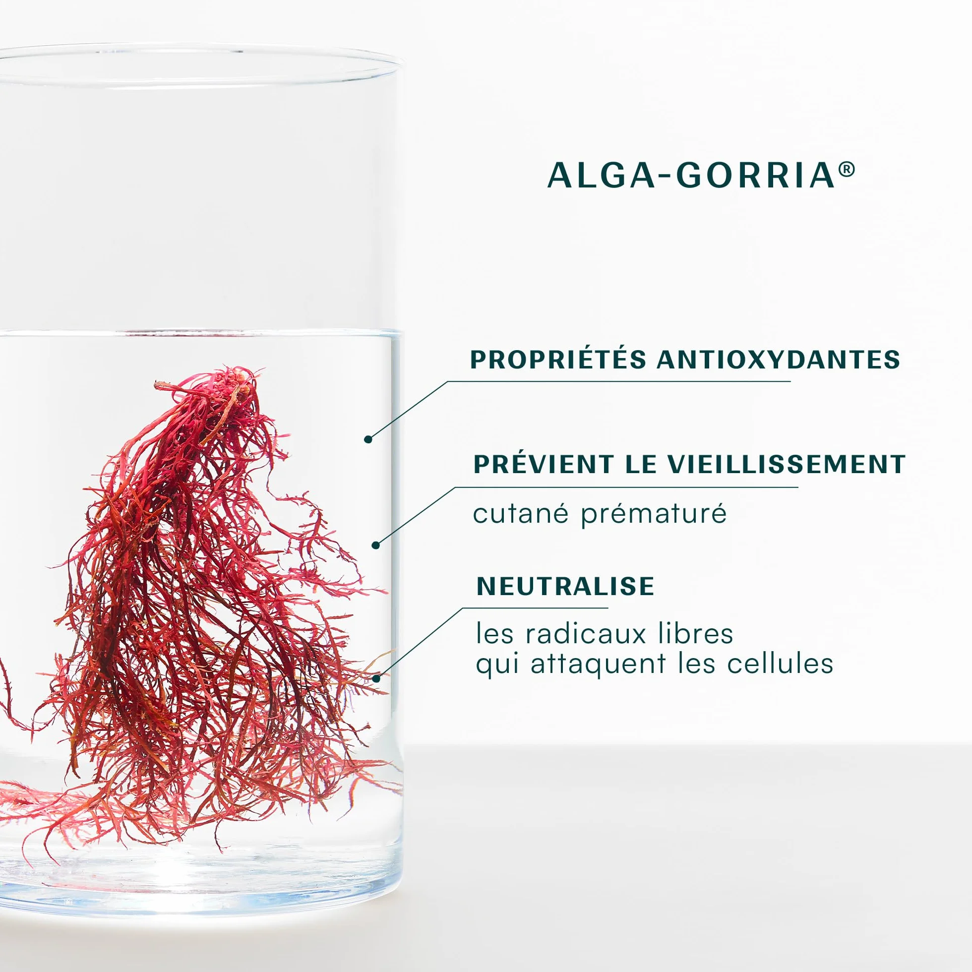 Laboratoires de Biarritz Fluide Après-Soleil Certifié Bio Hydrate et Apaise Visage et Corps 150 ml