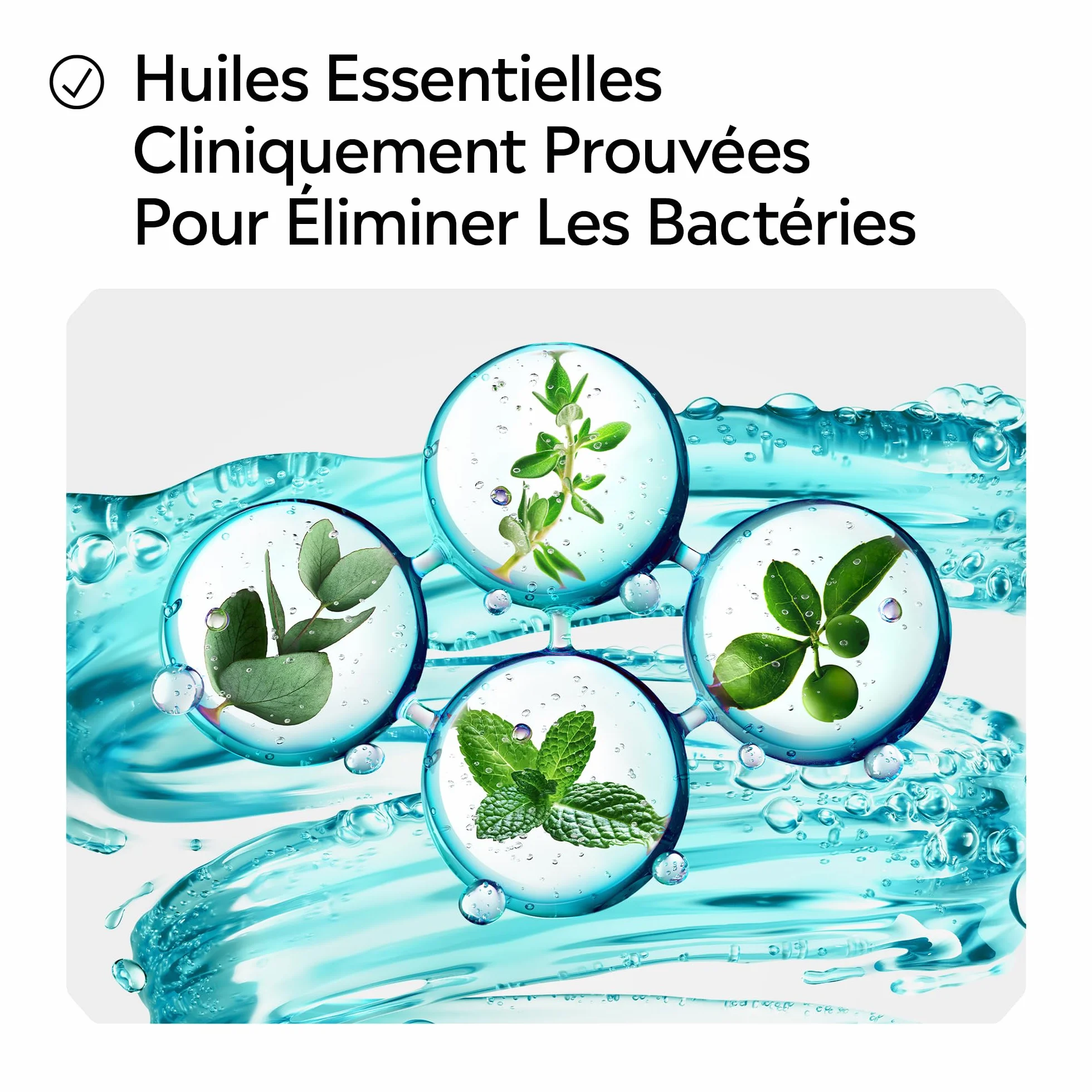 Listerine Bain de Bouche Quotidien Fraîcheur Intense 500 ml – Soin bucco-dentaire anti-plaque