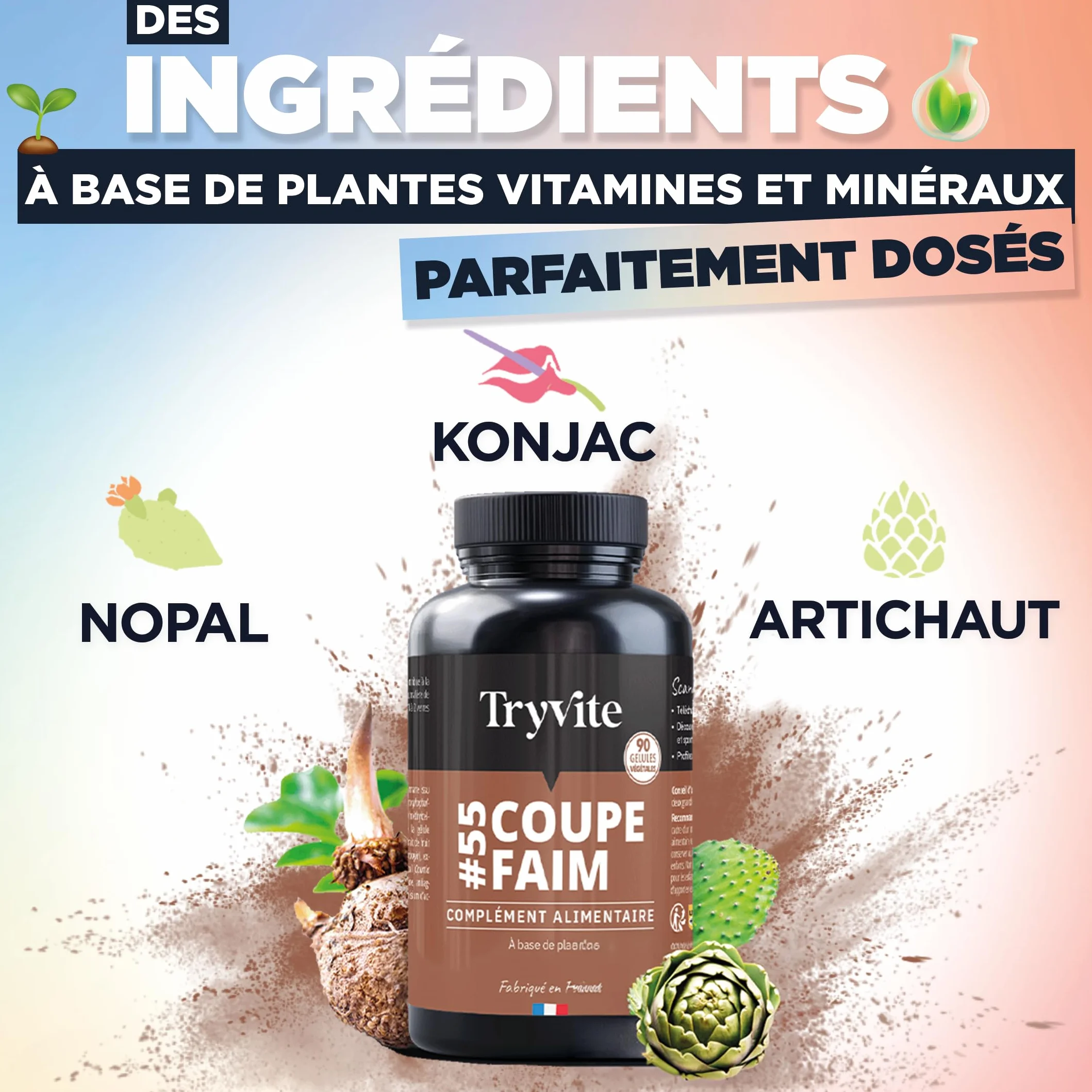 TRYVITE Glucomannane de Konjac 90 Gélules Formule Satiété Gestion des Portions Fabriqué en France