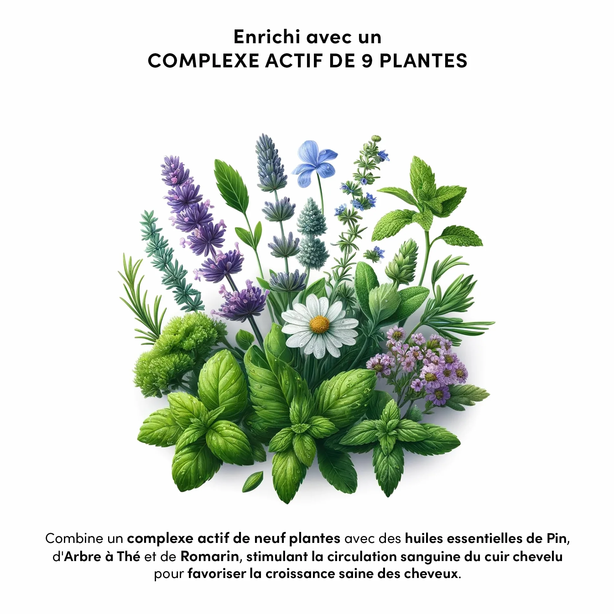 MYRIAM K PARIS – Sérum Pousse Cheveux 140ml – Scalp – Stimule la Croissance & Réduit la Chute – Complexe Actif aux 9 Plantes & Procapil – Pour Cheveux Clairsemés ou Affinés