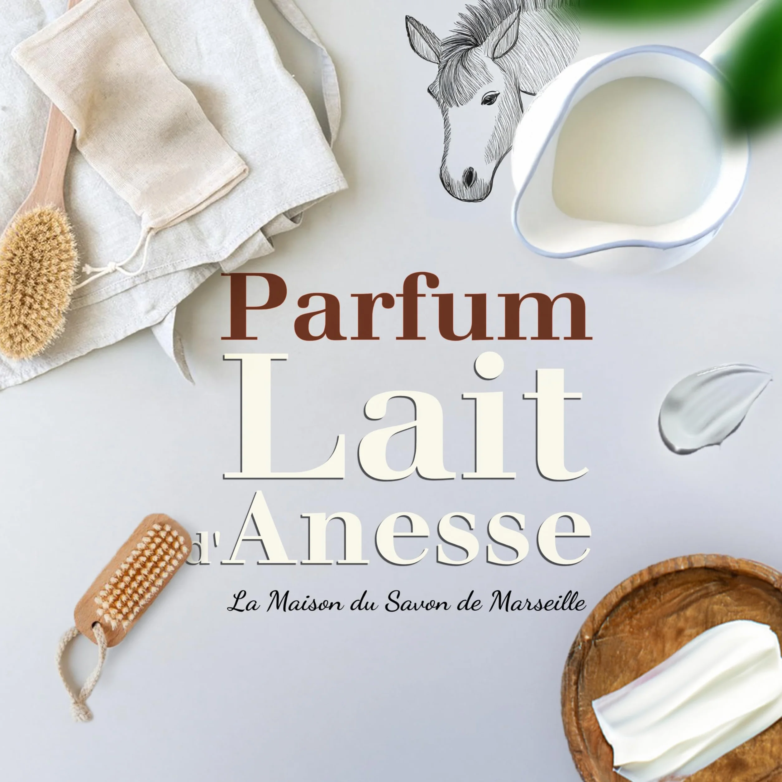 Savon au Lait d'Anesse Bio 115g - Naturel à 98% - Savon Corps et Visage - Fabriqué en Provence