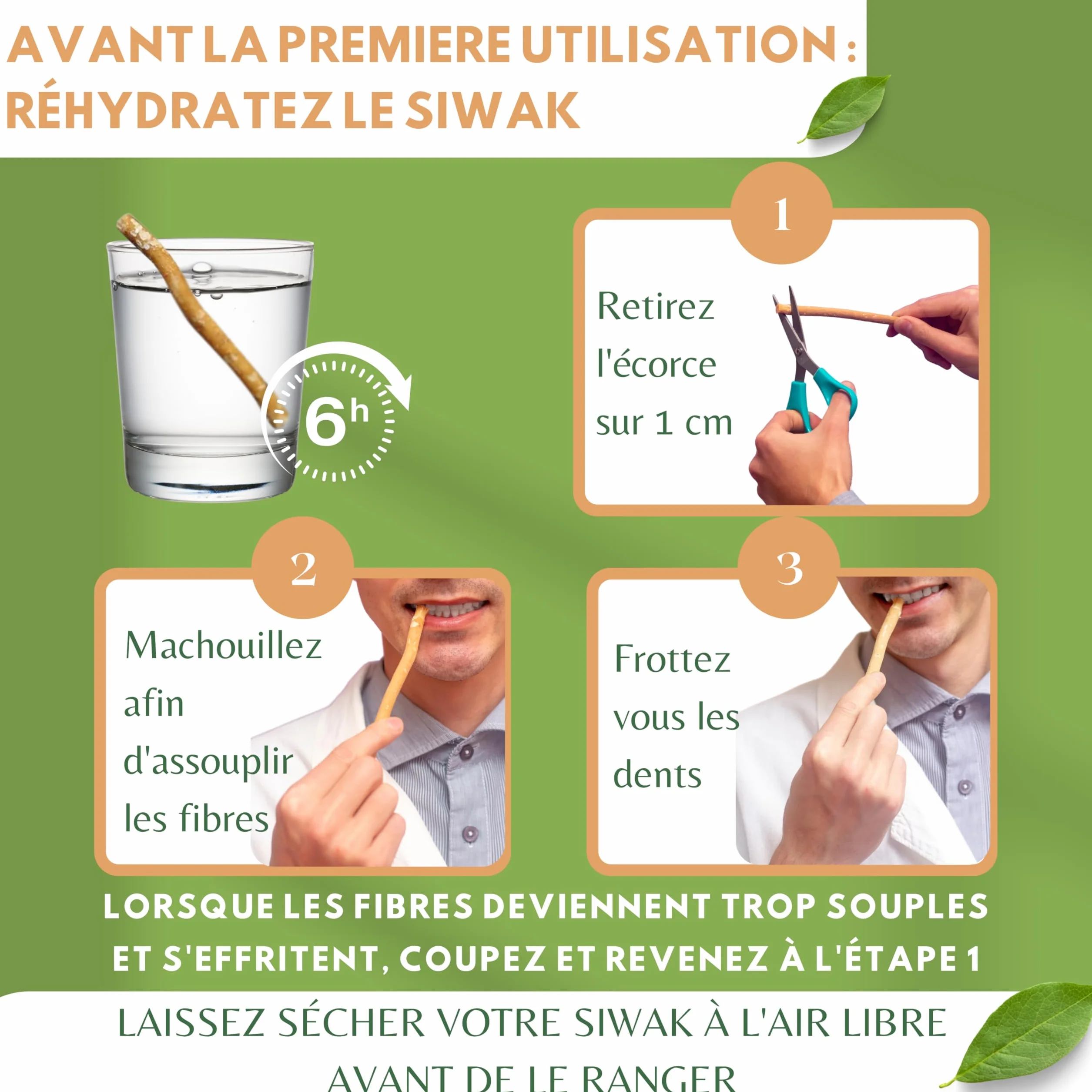 Siwak Naturel 6 Batons de Miswak Sec + Pochon Sans Conservateur Écologique Sans Plastique