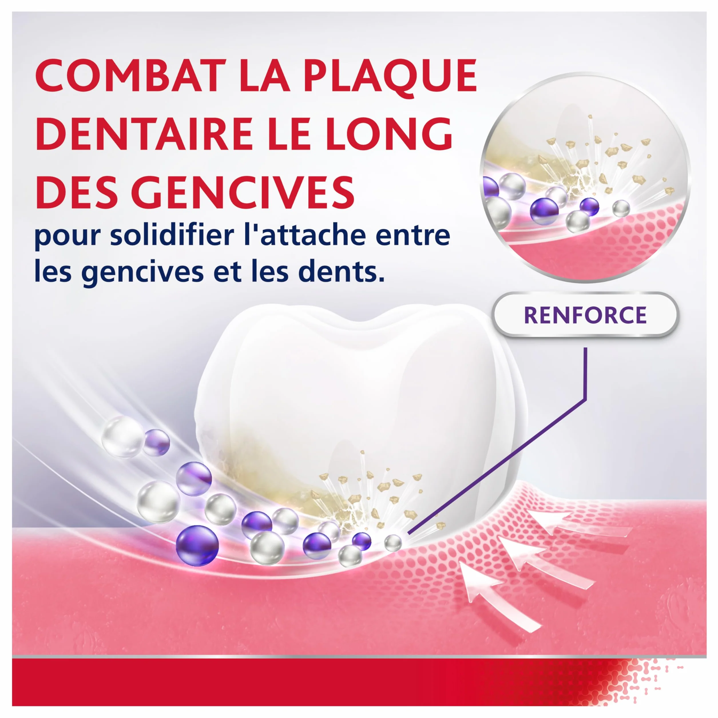 PARODONTAX Bain de Bouche Quotidien Acide Hyaluronique 0% Alcool Menthe Fraîche 2 x 500 ml