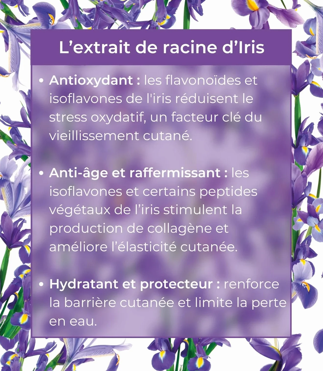 Academie Scientifique de Beauté Sève Miracle La Crème, Crème Visage Hydratante Anti-Rides Jour et Nuit, Peau Mature, 50 ml