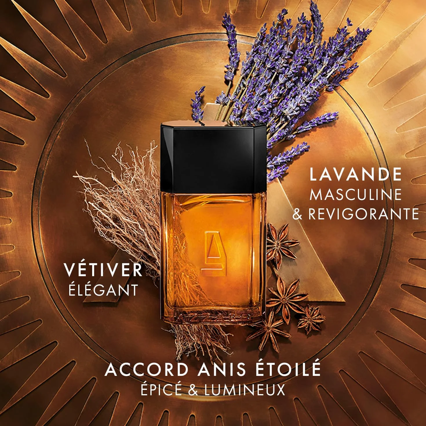 Azzaro - Coffret - Eau de Toilette pour Homme - 100ml & Gel Douche Cheveux et Corps Pour Homme - 75ml - Fragrance aromatique & boisée - Pour un usage quotidien - Parfum de luxe pour homme