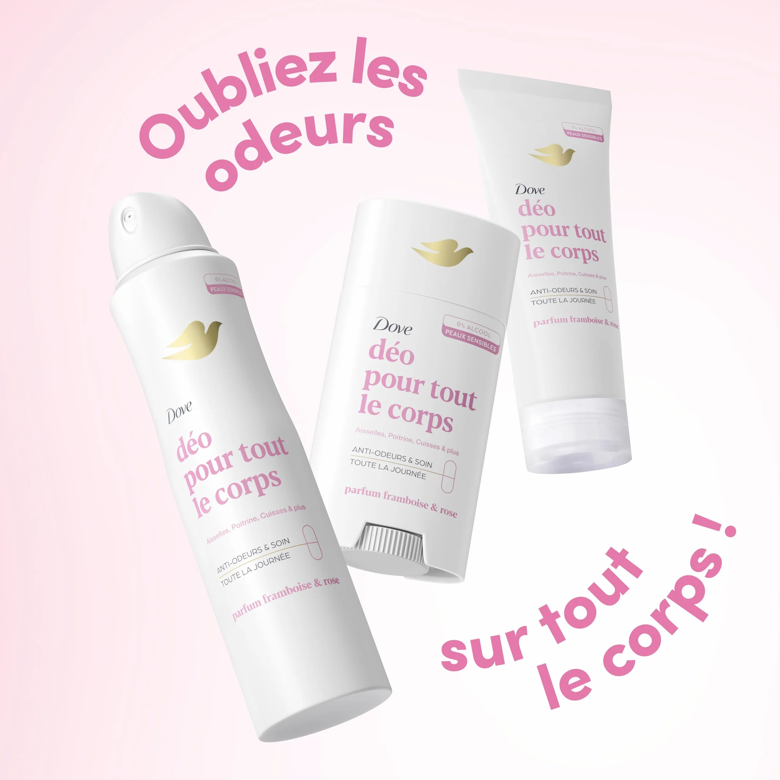 Dove Déodorant Stick Framboise & Rose Anti Odeurs 72h Peaux Sensibles 75ml