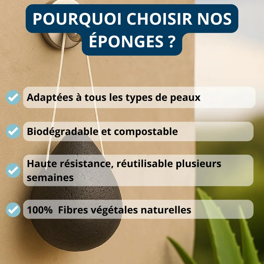 Eponges de Konjac Bio visage thé vert charbon lavande coques de noix Lot de 4 gouttes exfoliante végétale naturelle nettoyante