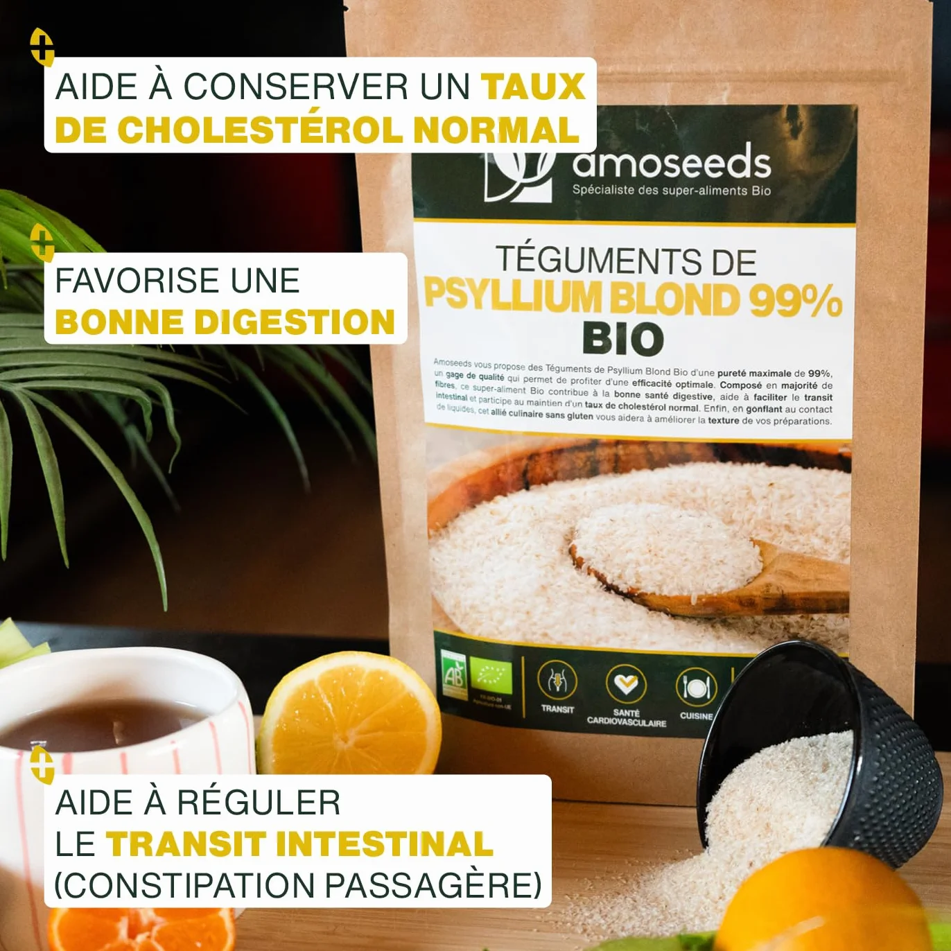 Psyllium Blond Bio 99% 88% Fibres Sans gluten 200G
