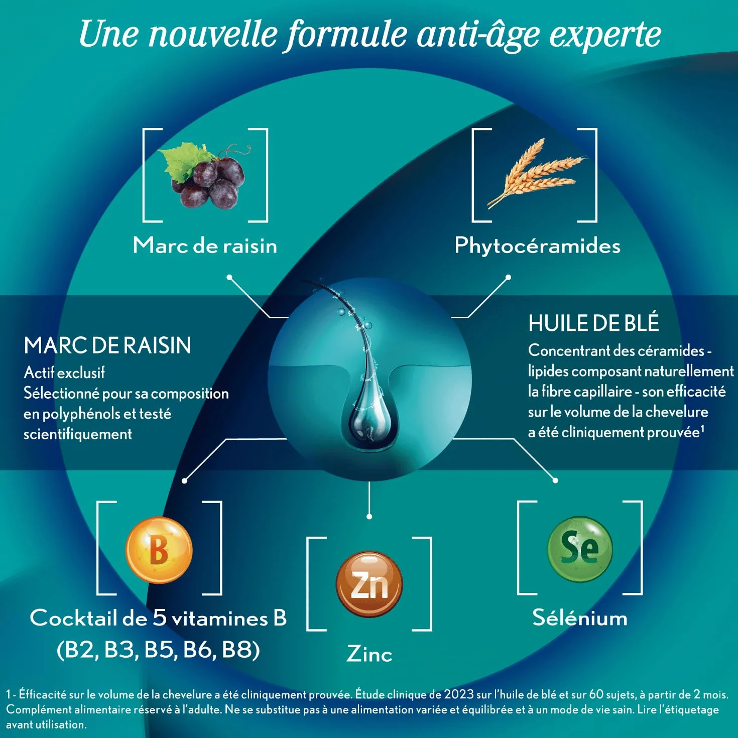 Oenobiol HAIR EXPERT Complément alimentaire Chute de cheveux Anti-Âge 60 comprimés