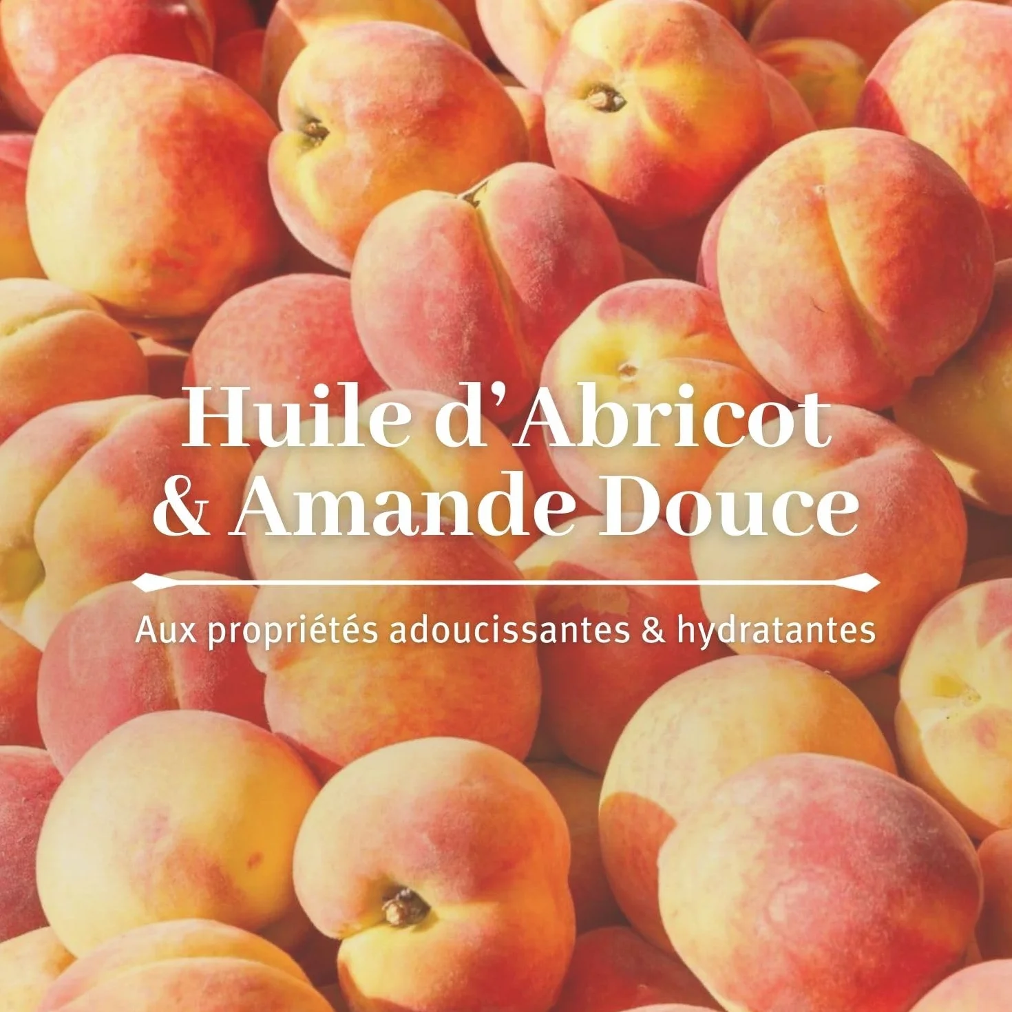 LE PETIT OLIVIER Baume Lèvres Soin & Brillance Huile d'Amande Douce et Abricot 4 g
