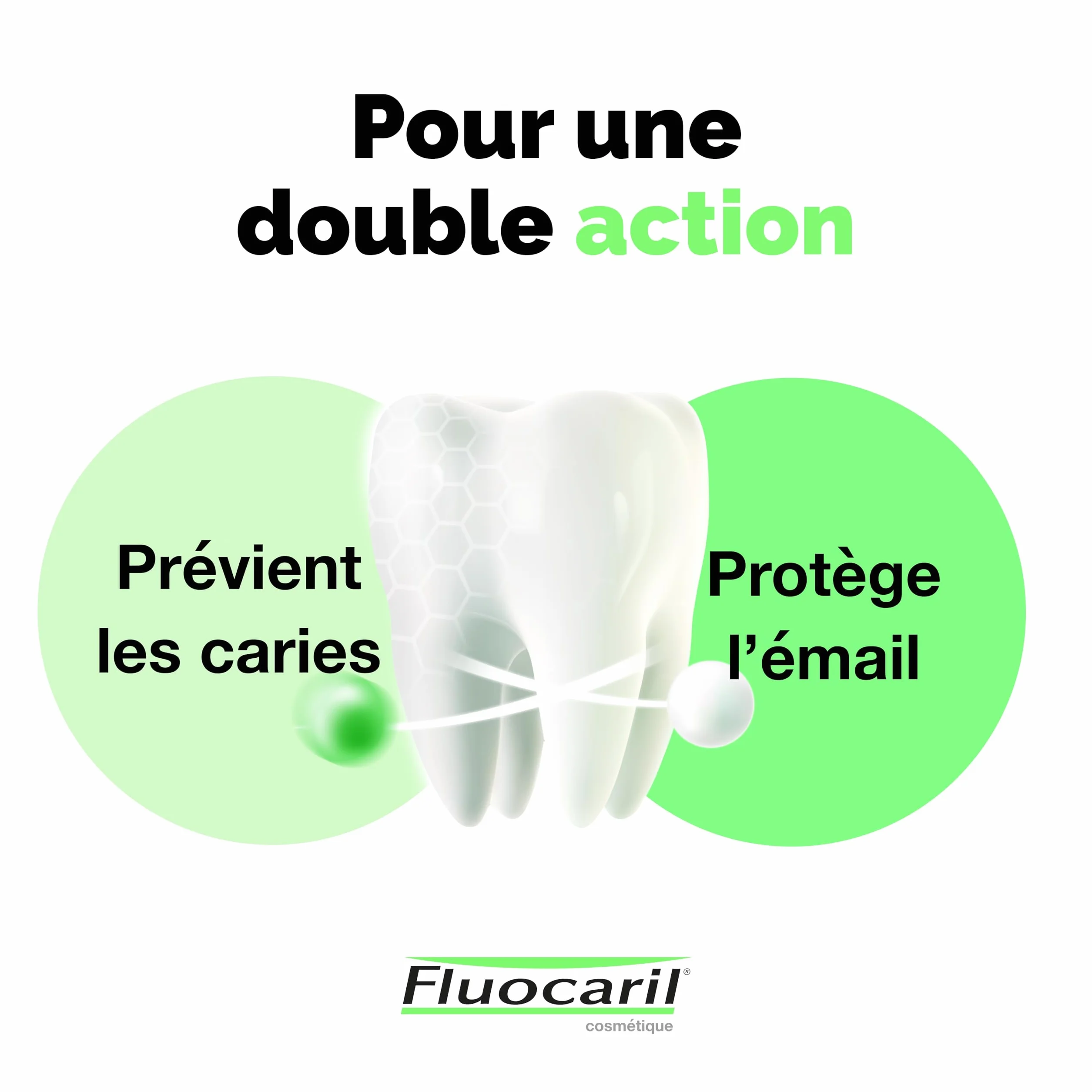 Dentifrice Anti-Caries Bi-fluoré 145mg Menthe, Email Renforcé, Haleine Fraîche (Lot de 3x 75ml)