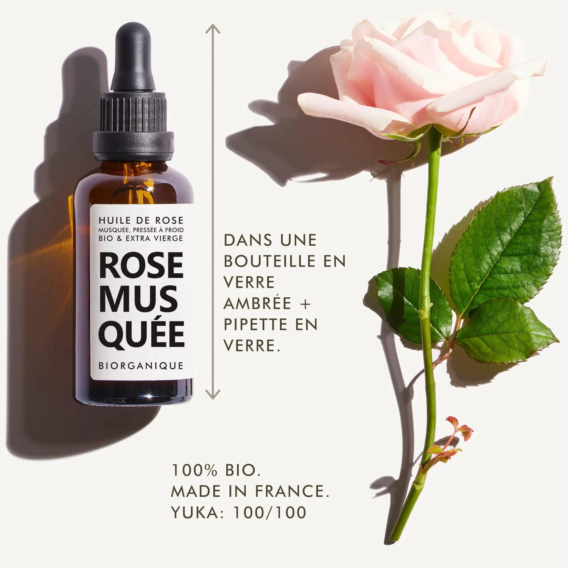 Huile de Rose Musquée BIO 100% Pure Pressée à froid 50 ml Soin Anti-âge Peau Cicatrices Vergetures