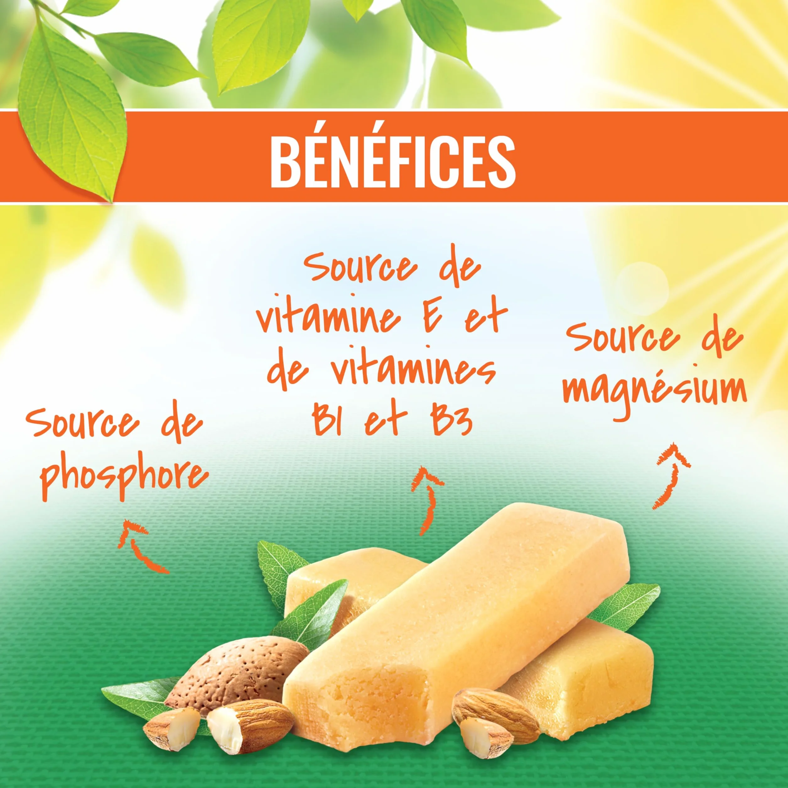 GAYELORD HAUSER Barres Énergétiques Amande 125g 5 Barres Individuelles