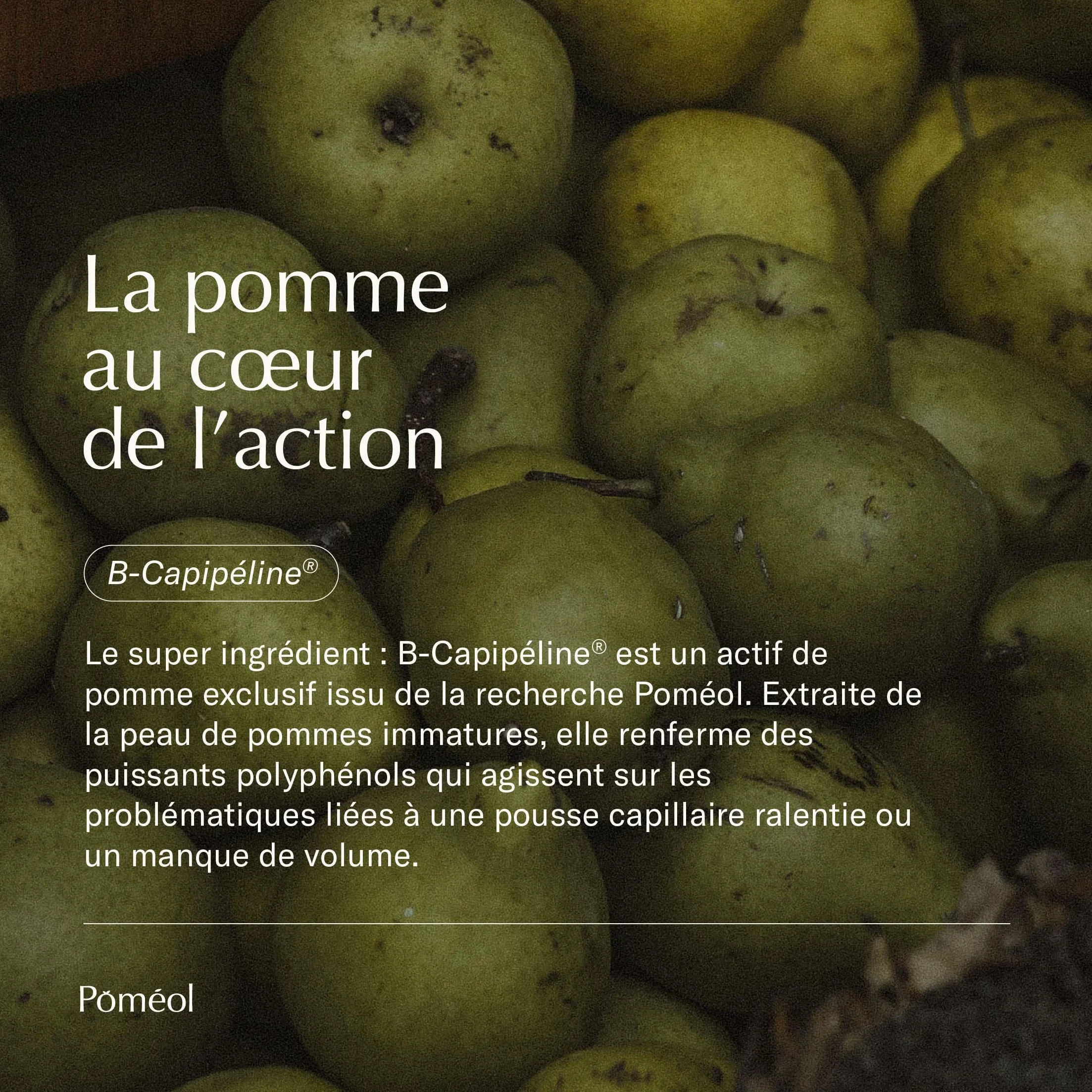 POMÉOL Pousse Croissance Anti-chute Complément Alimentaire Cheveux Kératine Roquette Myrtille 90 jours