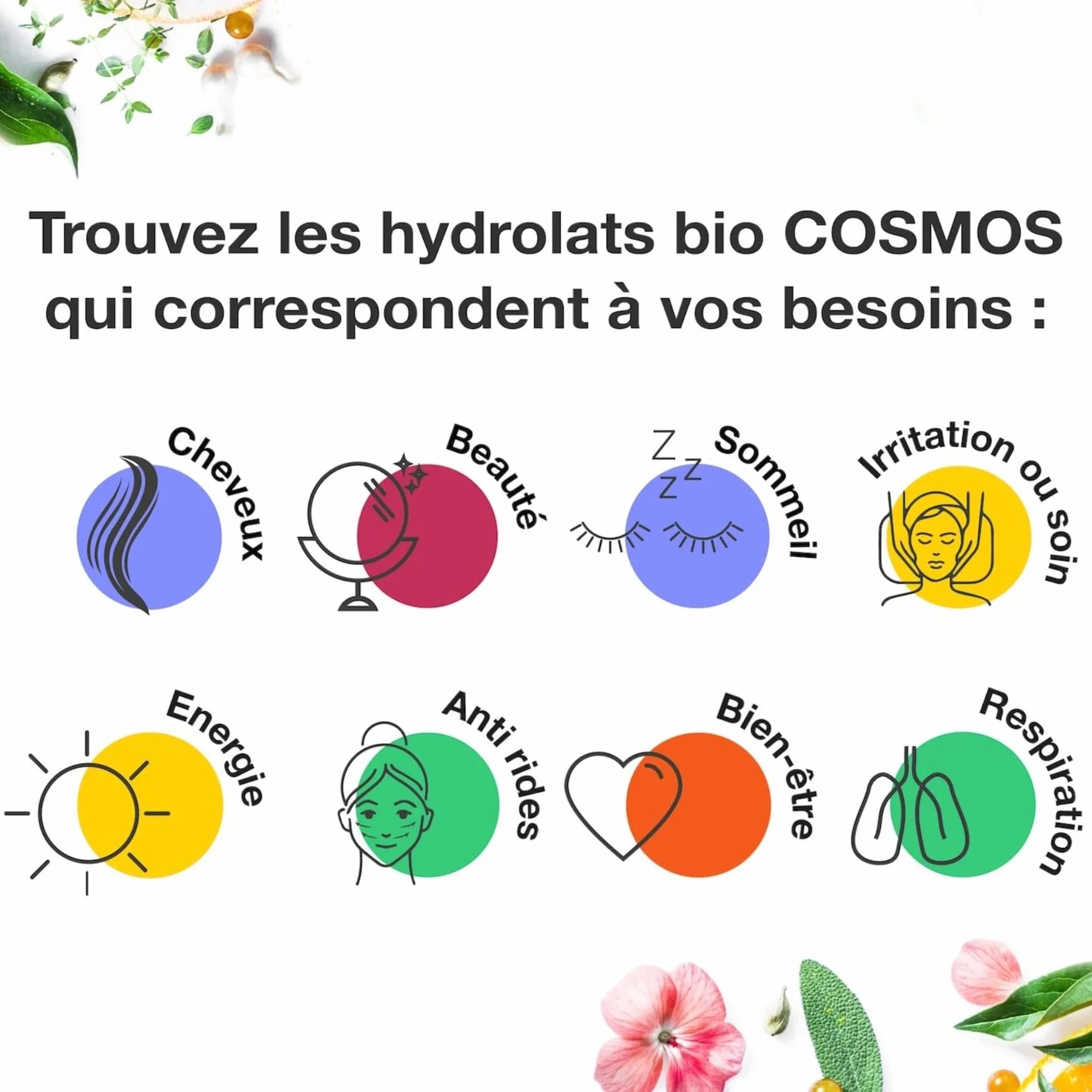 VOSHUILES Hydrolat de Tea Tree COSMOS 200ml Purifiant Peaux Imperfections Cuirs Chevelus Gras